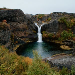 Poze Yoga Retreat Midnight Sun